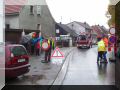 baumfaellung03.JPG