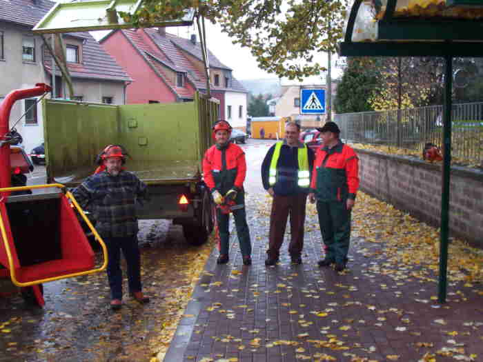 baumfaellung06.JPG