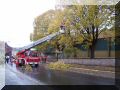 baumfaellung12.JPG