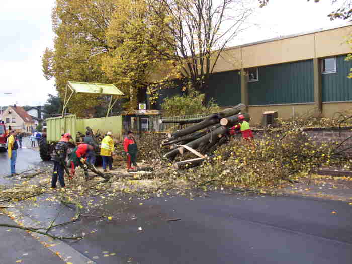 baumfaellung18.JPG