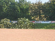kunstrasen11